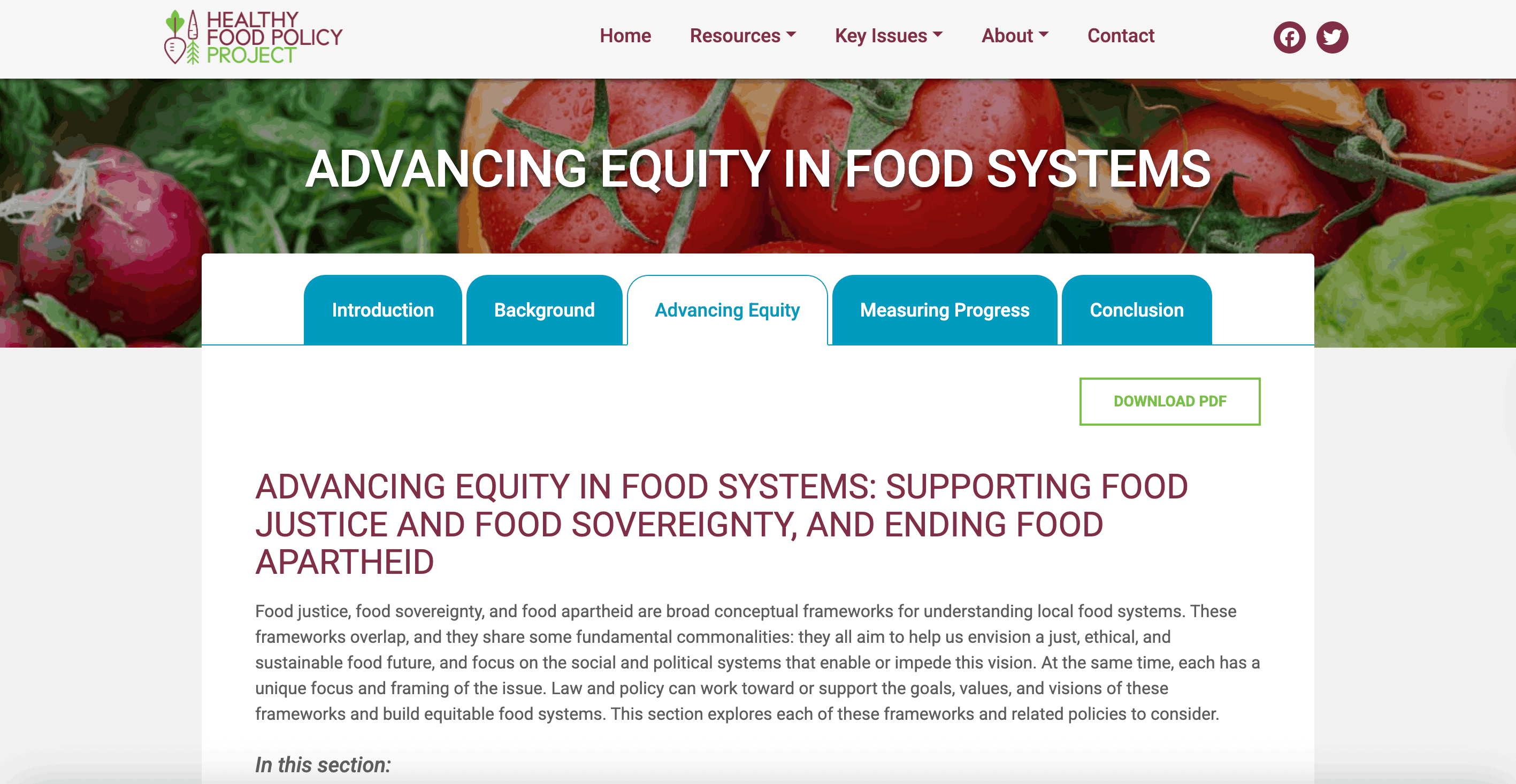 Preview of Advancing Equity in Food Systems: Supporting Food Justice and Food Sovereignty, and Ending Food Apartheid