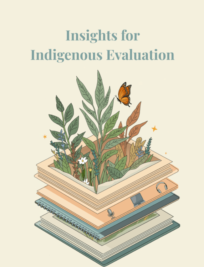 Preview of Insights for Indigenous Evaluation