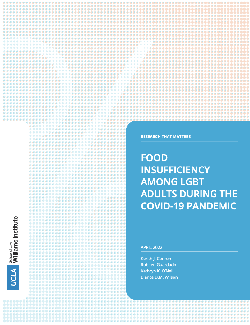 Preview of LGBT Food Insufficiency