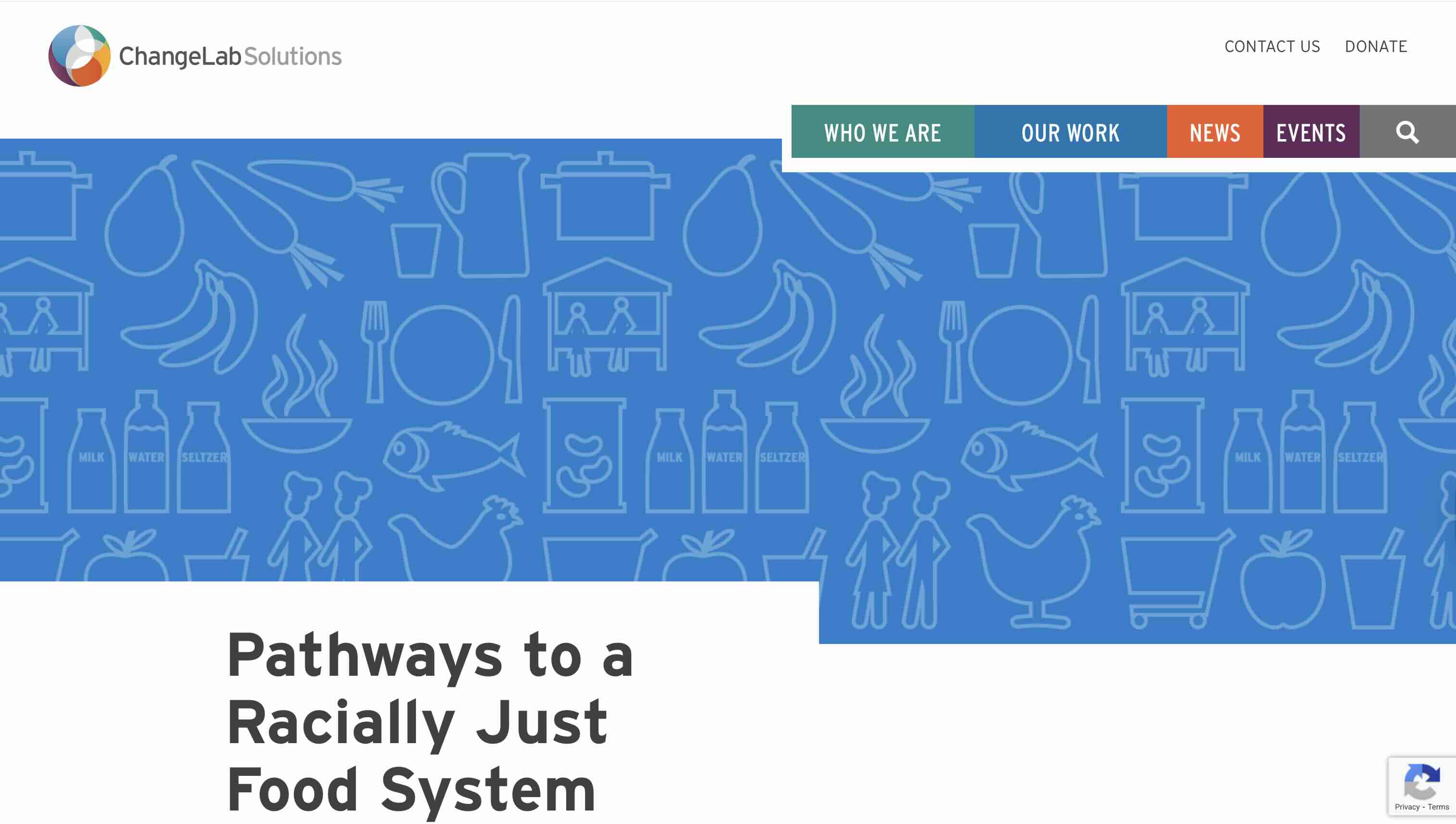 Screenshot of Pathways to a Racially Just Food System