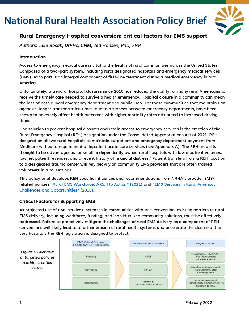 Preview of Rural Emergency Hospital Conversion: Critical Factors for EMS Support