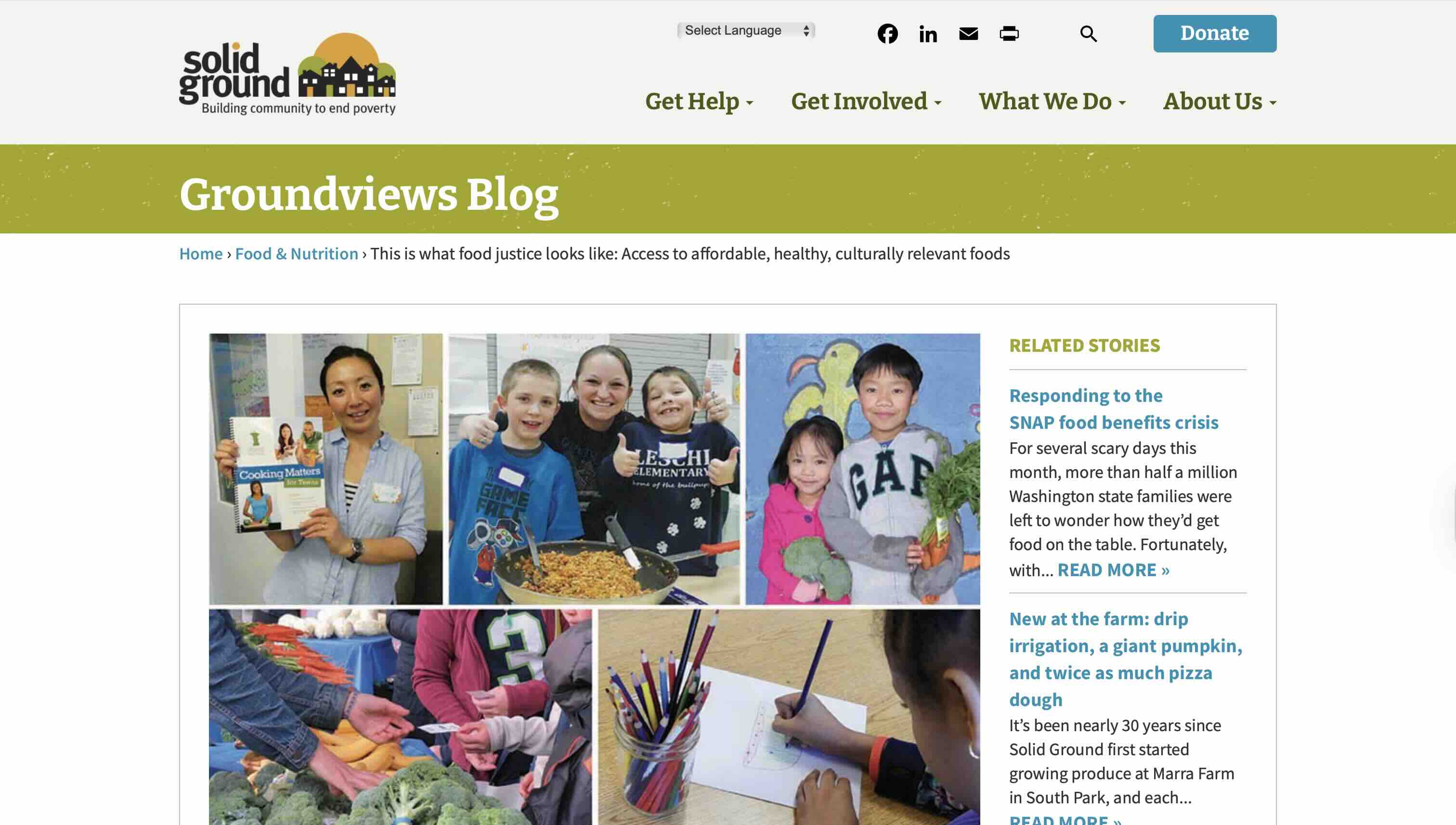 Screenshot of This Is What Food Justice Looks Like: Access To Affordable, Healthy, Culturally Relevant Foods